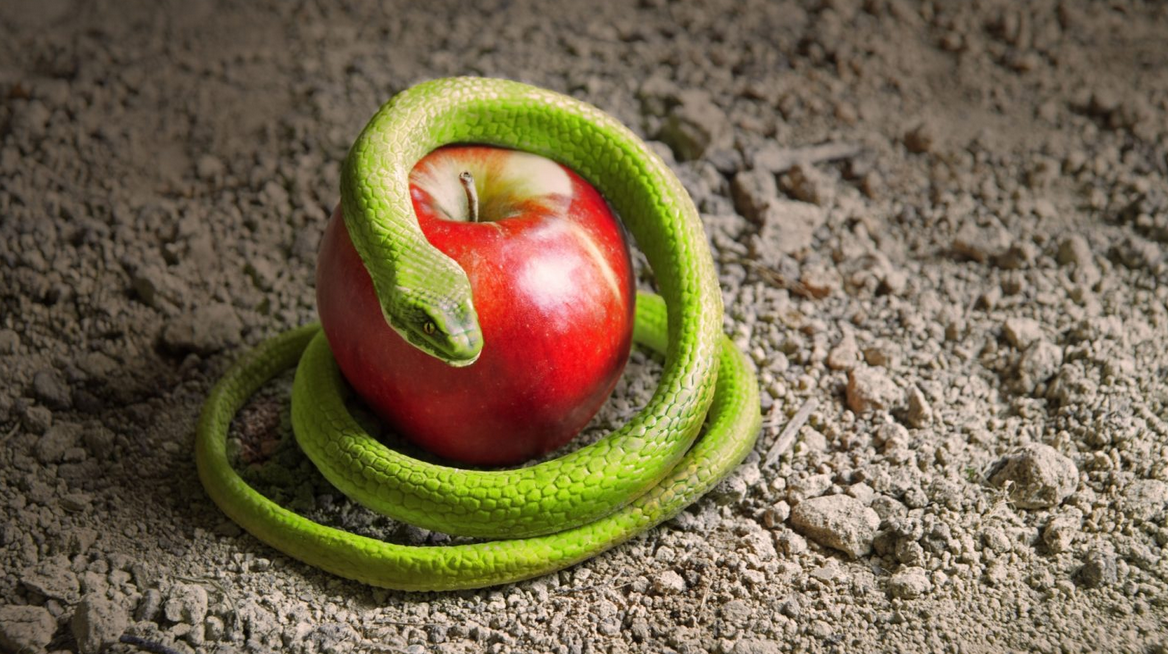 Kuinka bioterrorismin aikakausi alkoi?