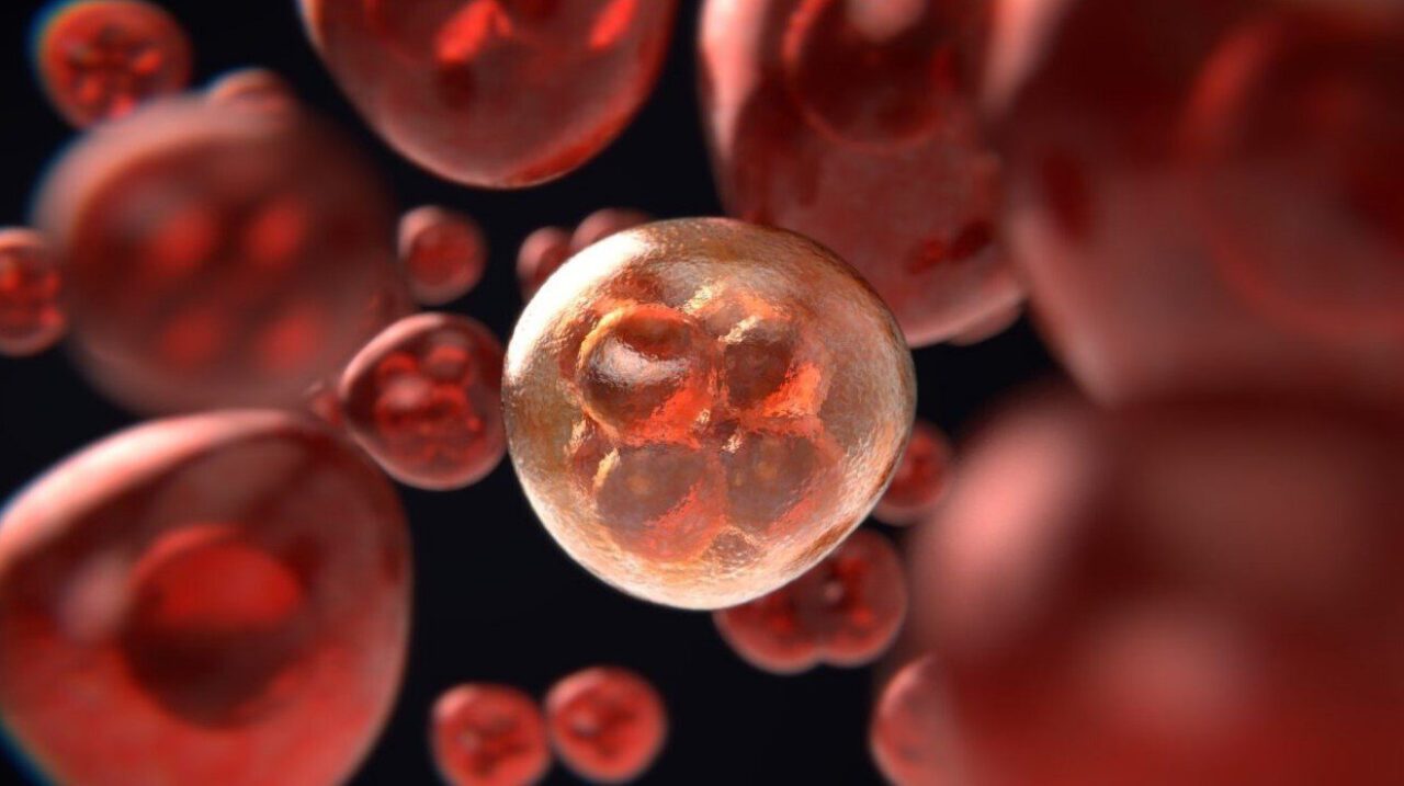 Nousussa oleva pandemia: Koronasta syöpään