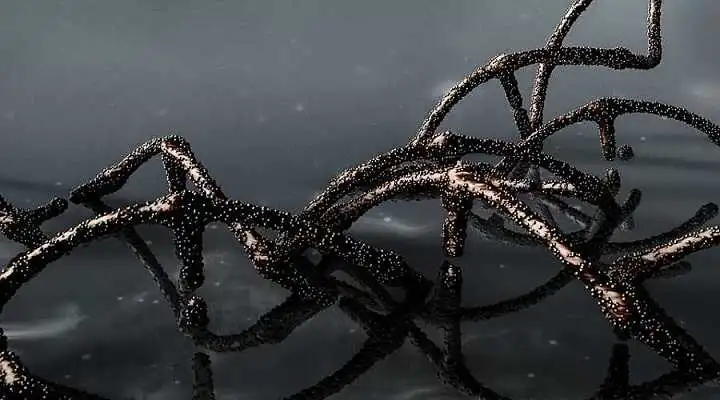 Miten geneettisesti muunnetut ihmiset ja kaikki, jotka saivat Covid-mRNA-injektioita, muistuttavat etäsesti DNA-mutaatiokasveja, kuten geneettisesti muunnettua maissia ja geneettisesti muunnettua soijaa?