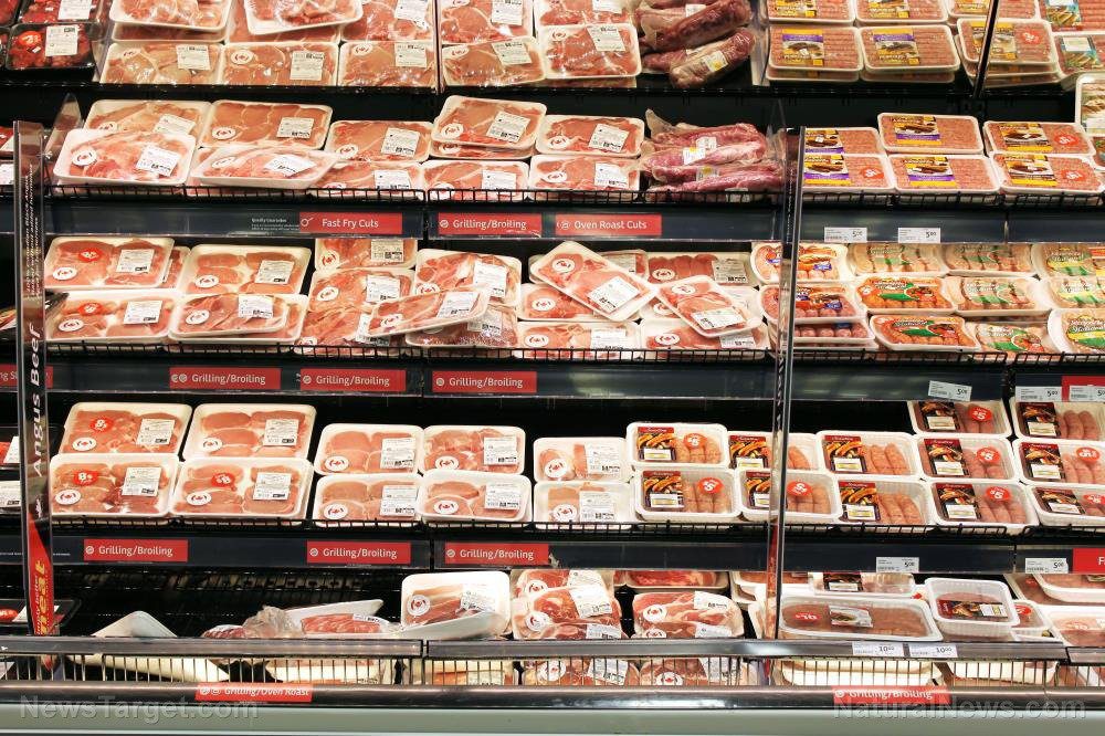 Ruokakorruptio: lihakorvikkeet, muuntogeeniset organismit ja muut