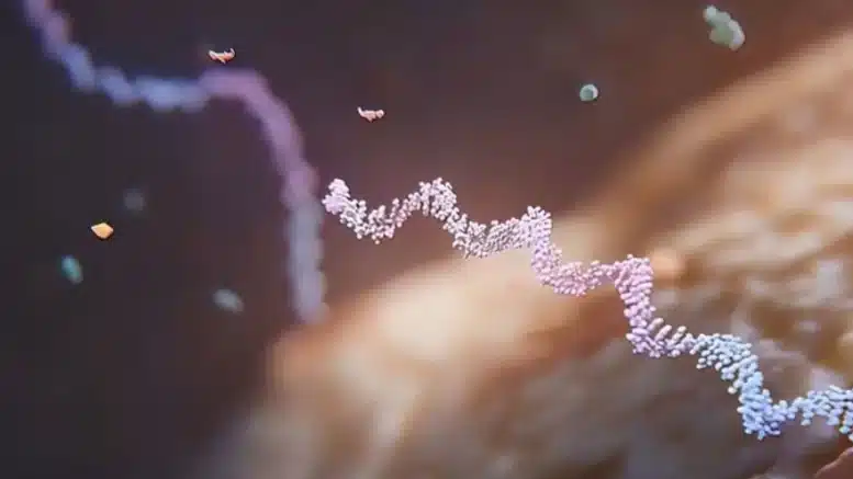 Ranska: mRNA:n kritiikki on jatkossa rangaistavaa
