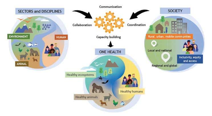 Tohtori Joseph Mercola: WHO/”One Health” – Koko maailman haltuunotto “terveysturvallisuuden” varjolla