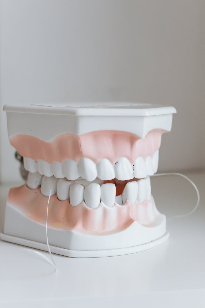 close up shot of dentures